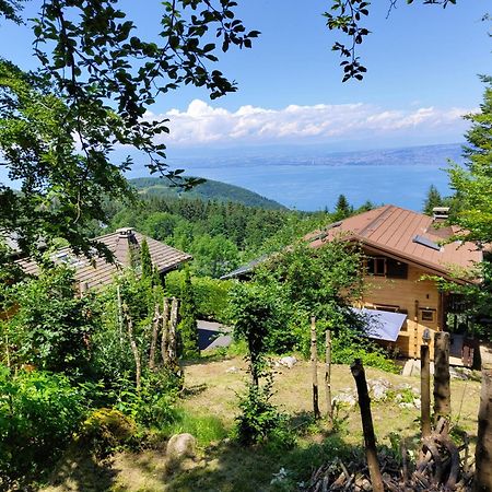 Chalet La Trouvaille Thollon-les-Memises Bagian luar foto